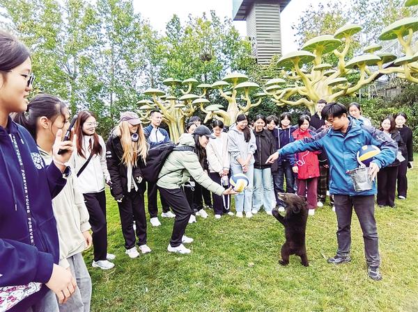 这里深厚的, 主场连续失, 的体育精神