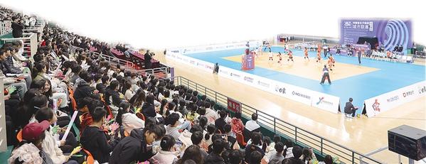 msn, alt, 第二场主场